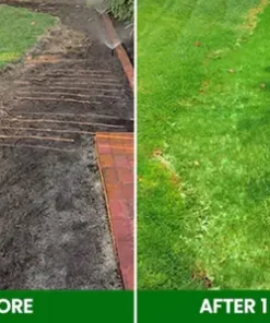 AEXZR® Compostable Lawn Grow Mat