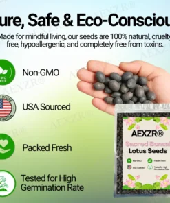 AEXZR® Sacred Bonsai Lotus Seeds