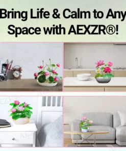 AEXZR® Sacred Bonsai Lotus Seeds