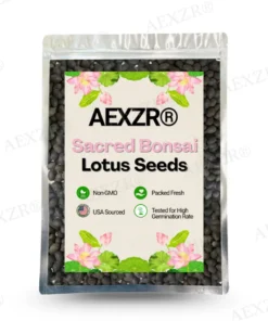 AEXZR® Sacred Bonsai Lotus Seeds