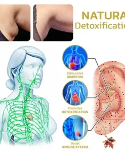 𝐂𝐙𝐓𝐈𝐂𝐋𝐄® 𝐌𝐚𝐠𝐧𝐞𝐭𝐢𝐜 𝐄𝐧𝐞𝐫𝐠𝐲 𝐆𝐞-𝐒𝐭𝐨𝐧𝐞 𝐌𝐚𝐩𝐥𝐞 𝐄𝐚𝐫𝐫𝐢𝐧𝐠𝐬