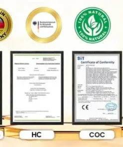 𝐋𝐄𝐑𝐂𝐄𝐀® Metabolische Balance Oral-Ampullen