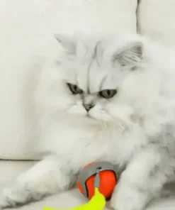 NESLEMY™ SPEEDY TAIL 2.0