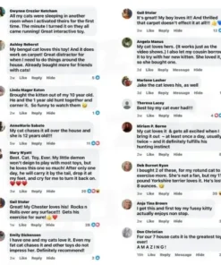 NESLEMY™ SPEEDY TAIL 2.0